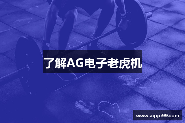 了解AG电子老虎机
